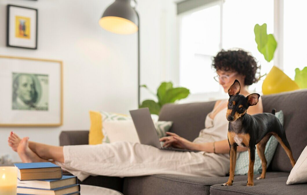 Pet-Friendly Home Security Solutions for Your Clearwater, FL Home