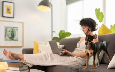 Pet-Friendly Home Security Solutions for Your Clearwater, FL Home